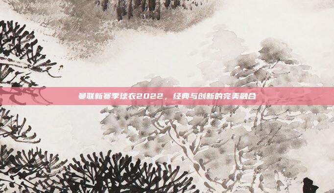 曼联新赛季球衣2022，经典与创新的完美融合