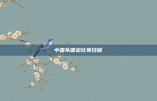 中国队国足比赛日程