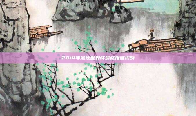 2014年足球世界杯最终排名揭晓