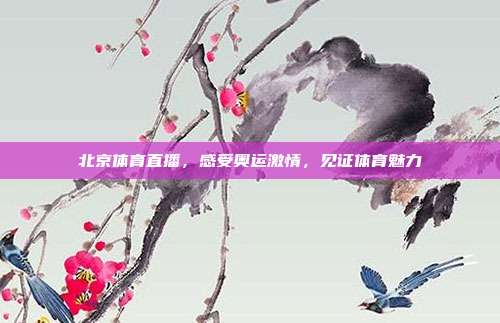 北京体育直播，感受奥运激情，见证体育魅力