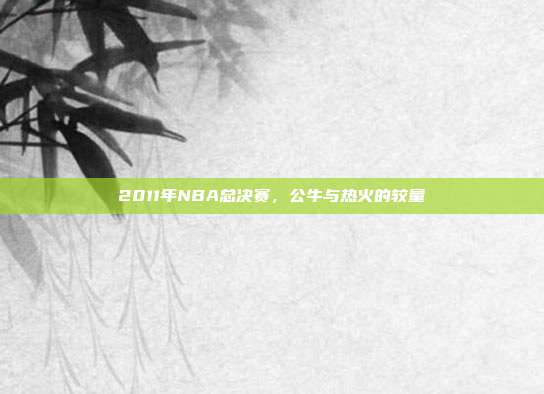 2011年NBA总决赛，公牛与热火的较量