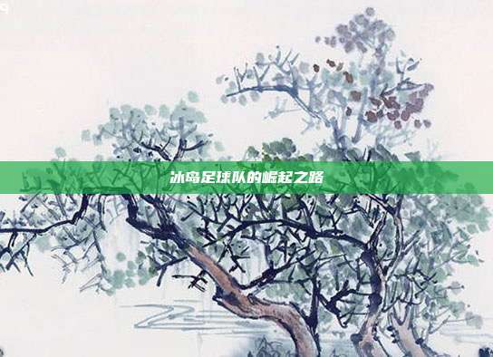 冰岛足球队的崛起之路