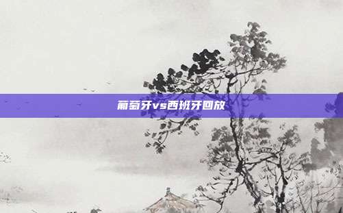 葡萄牙vs西班牙回放