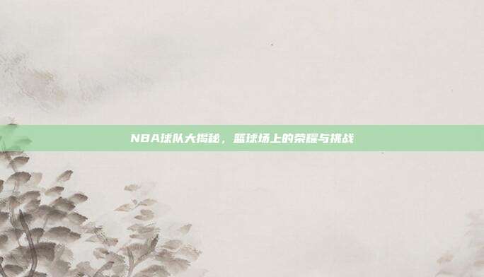 NBA球队大揭秘,篮球场上的荣耀与挑战