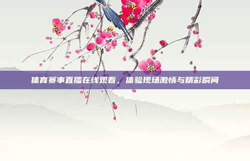 体育赛事直播在线观看，体验现场激情与精彩瞬间