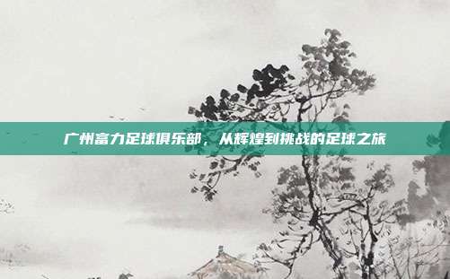 广州富力足球俱乐部,从辉煌到挑战的足球之旅