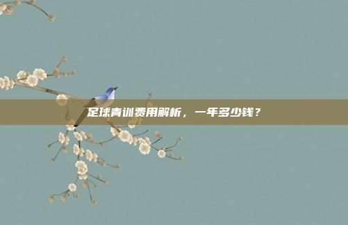 足球青训费用解析，一年多少钱？