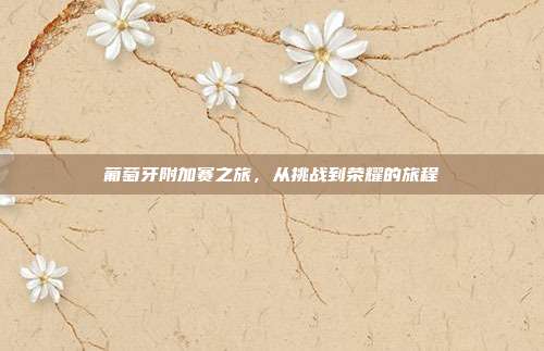 葡萄牙附加赛之旅，从挑战到荣耀的旅程