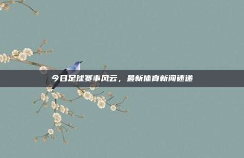 今日足球赛事风云,最新体育新闻速递