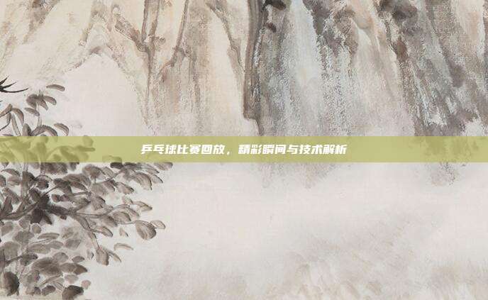 乒乓球比赛回放,精彩瞬间与技术解析