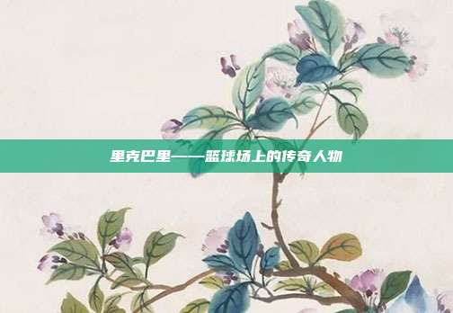 里克巴里——篮球场上的传奇人物