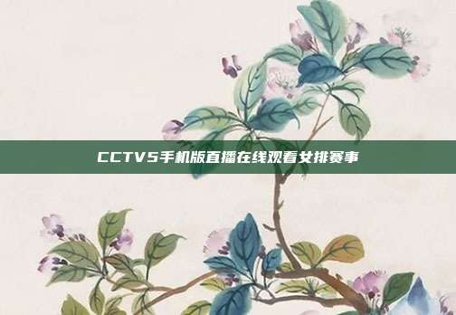 CCTV5手机版直播在线观看女排赛事