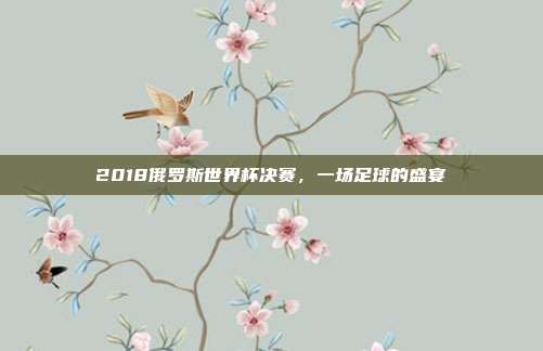2018俄罗斯世界杯决赛,一场足球的盛宴