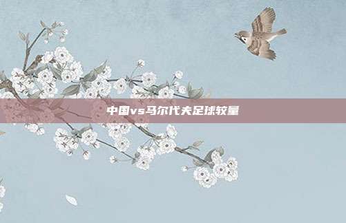 中国vs马尔代夫足球较量