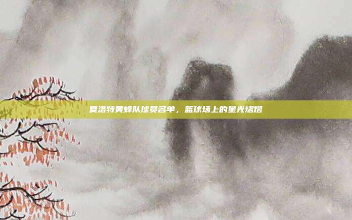 夏洛特黄蜂队球员名单，篮球场上的星光熠熠