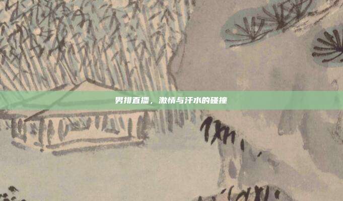 男排直播，激情与汗水的碰撞