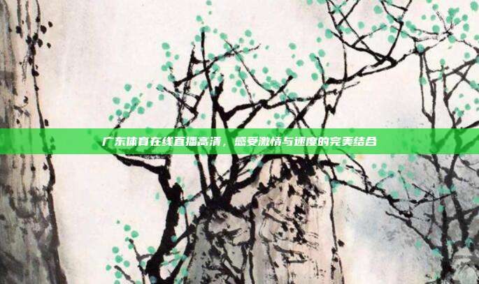 广东体育在线直播高清，感受激情与速度的完美结合