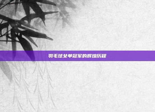 羽毛球女单冠军的辉煌历程