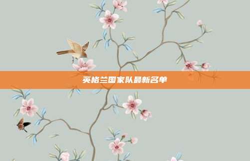 英格兰国家队最新名单