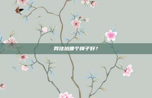 网球拍哪个牌子好?