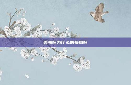 美洲杯为什么叫每周杯