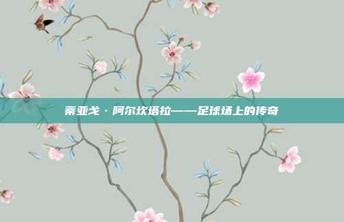 蒂亚戈·阿尔坎塔拉——足球场上的传奇