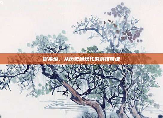 保莱塔,从历史到现代的科技奇迹
