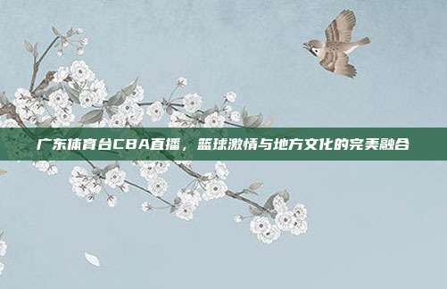 广东体育台CBA直播,篮球激情与地方文化的完美融合