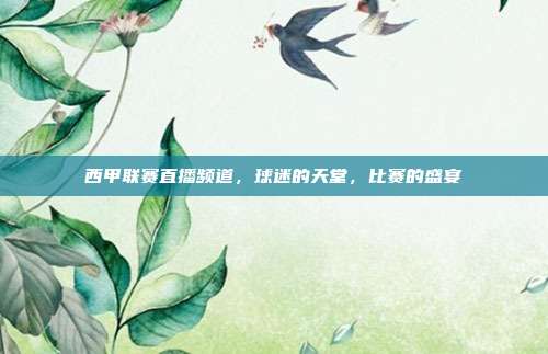 西甲联赛直播频道,球迷的天堂,比赛的盛宴