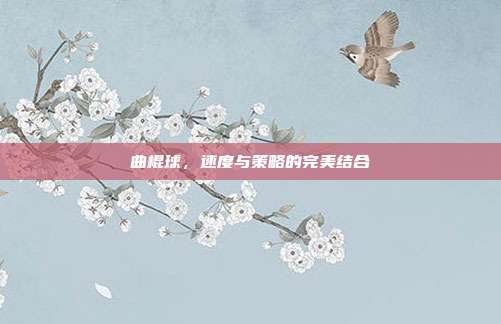 曲棍球，速度与策略的完美结合