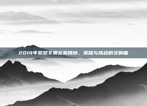 2014年索契冬奥会奖牌榜，荣耀与挑战的交响曲
