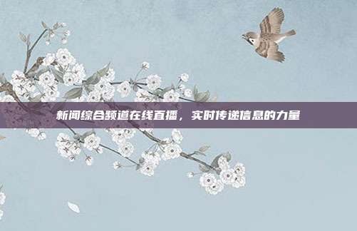新闻综合频道在线直播，实时传递信息的力量