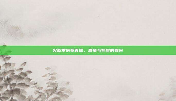 火箭季后赛直播，激情与梦想的舞台