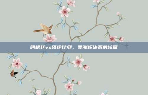 阿根廷vs哥伦比亚,美洲杯决赛的较量