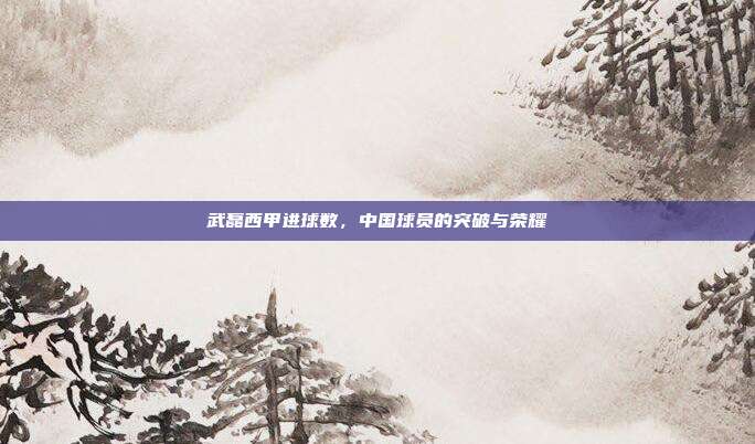 武磊西甲进球数,中国球员的突破与荣耀