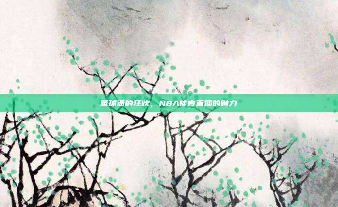 篮球迷的狂欢,NBA体育直播的魅力