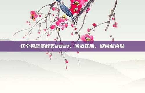 辽宁男篮赛程表2021,激战正酣,期待新突破