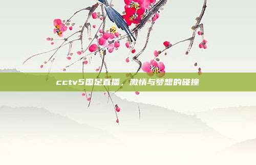 cctv5国足直播，激情与梦想的碰撞