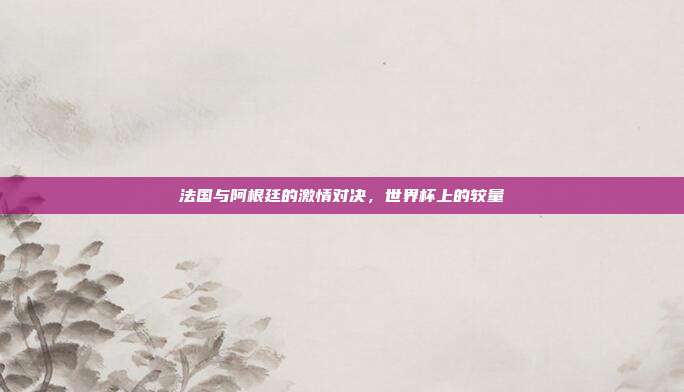 法国与阿根廷的激情对决，世界杯上的较量