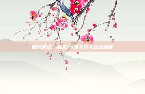 激情对决,猛龙vs凯尔特人直播盛宴