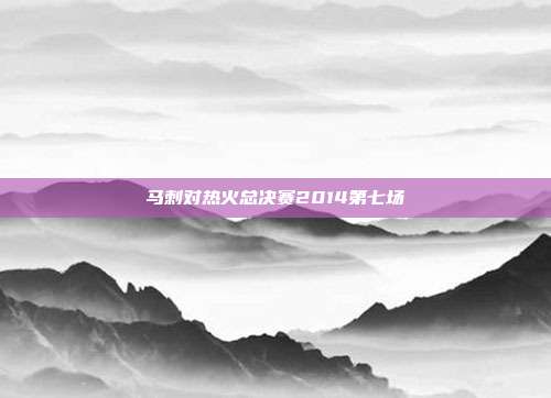 马刺对热火总决赛2014第七场