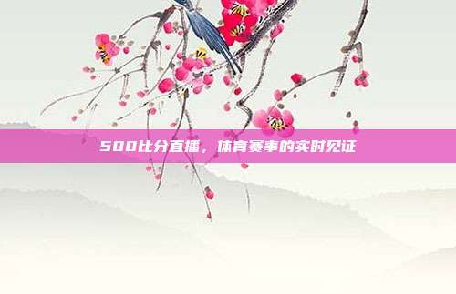 500比分直播,体育赛事的实时见证
