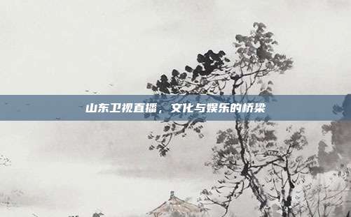 山东卫视直播,文化与娱乐的桥梁