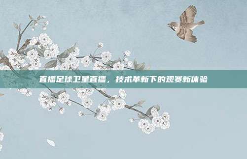 直播足球卫星直播,技术革新下的观赛新体验