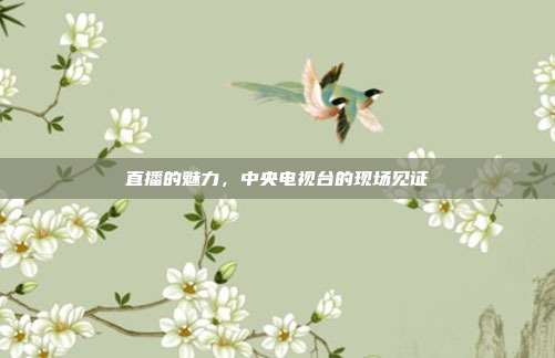 直播的魅力,中央电视台的现场见证