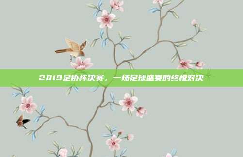 2019足协杯决赛,一场足球盛宴的终极对决