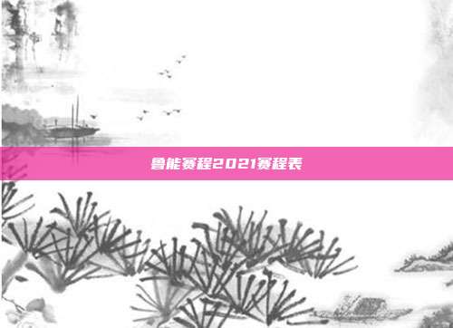 鲁能赛程2021赛程表