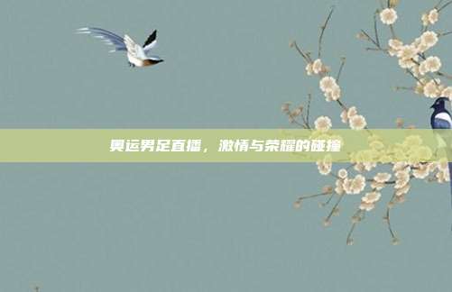 奥运男足直播,激情与荣耀的碰撞