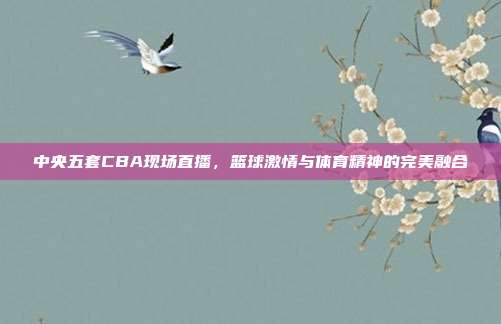 中央五套CBA现场直播,篮球激情与体育精神的完美融合