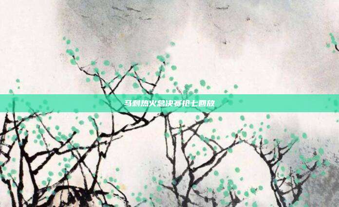 马刺热火总决赛抢七回放